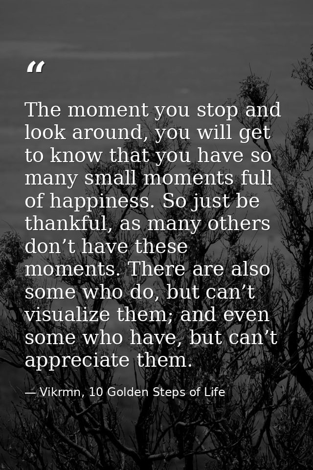 The moment you stop and look around, you will get to know that you have so many small moments full of happiness. So just — Vikrmn, 10 Golden Steps of Life