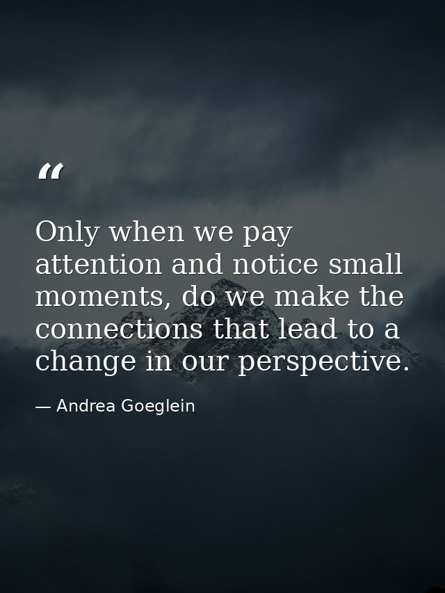 Only when we pay attention and notice small moments, do we make the connections that lead to a change in our perspective — Andrea Goeglein