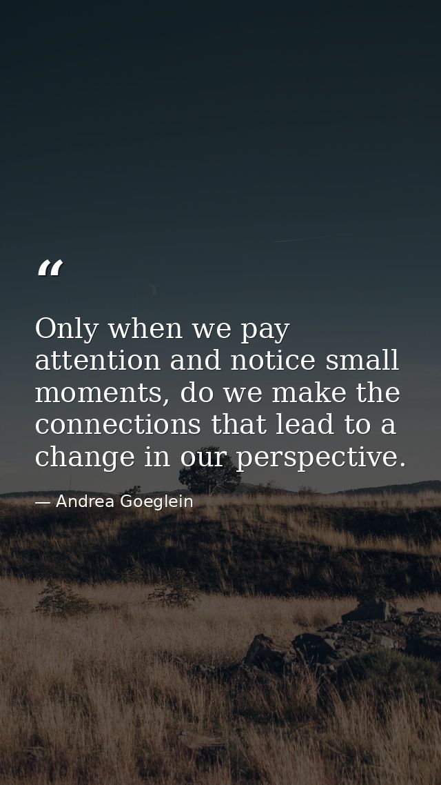 Only when we pay attention and notice small moments, do we make the connections that lead to a change in our perspective — Andrea Goeglein