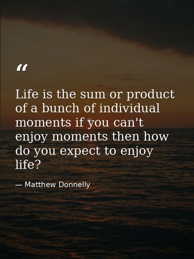 Life is the sum or product of a bunch of individual moments if you can't enjoy moments then how do you expect to enjoy l — Matthew Donnelly