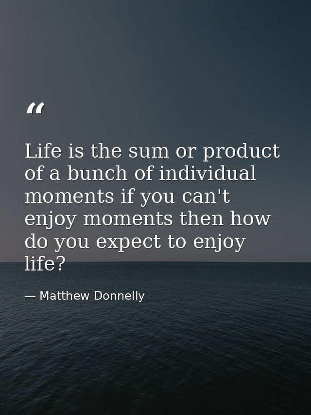 Life is the sum or product of a bunch of individual moments if you can't enjoy moments then how do you expect to enjoy l — Matthew Donnelly