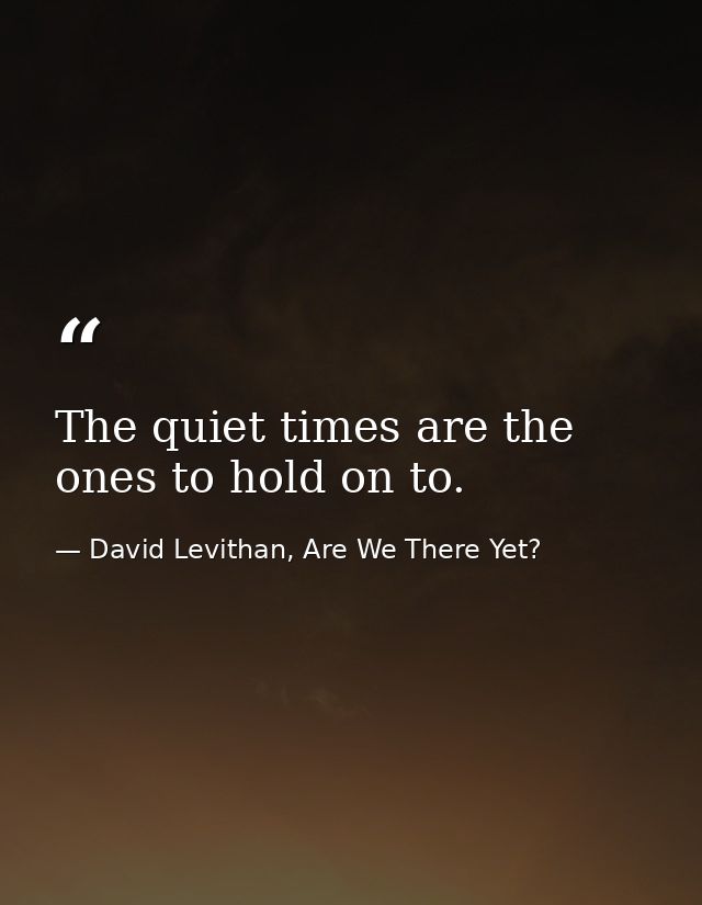 The quiet times are the ones to hold on to. — David Levithan, Are We There Yet?