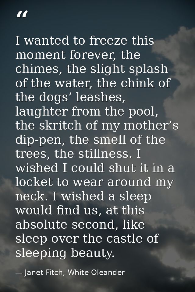 I wanted to freeze this moment forever, the chimes, the slight splash of the water, the chink of the dogs’ leashes, laug — Janet Fitch, White Oleander