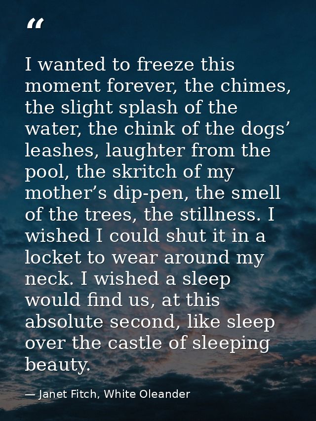 I wanted to freeze this moment forever, the chimes, the slight splash of the water, the chink of the dogs’ leashes, laug — Janet Fitch, White Oleander