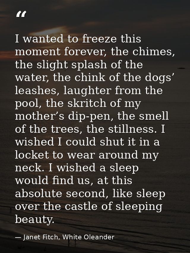 I wanted to freeze this moment forever, the chimes, the slight splash of the water, the chink of the dogs’ leashes, laug — Janet Fitch, White Oleander