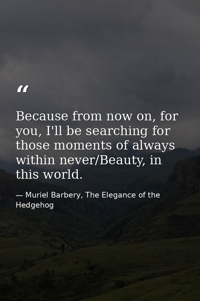 Because from now on, for you, I'll be searching for those moments of always within never/Beauty, in this world. — Muriel Barbery, The Elegance of the Hedgehog