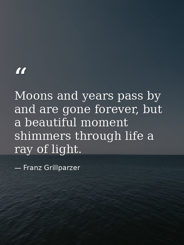 Moons and years pass by and are gone forever, but a beautiful moment shimmers through life a ray of light. — Franz Grillparzer