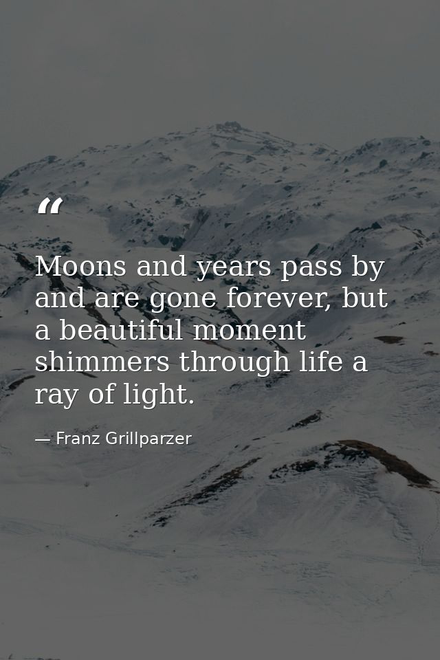 Moons and years pass by and are gone forever, but a beautiful moment shimmers through life a ray of light. — Franz Grillparzer