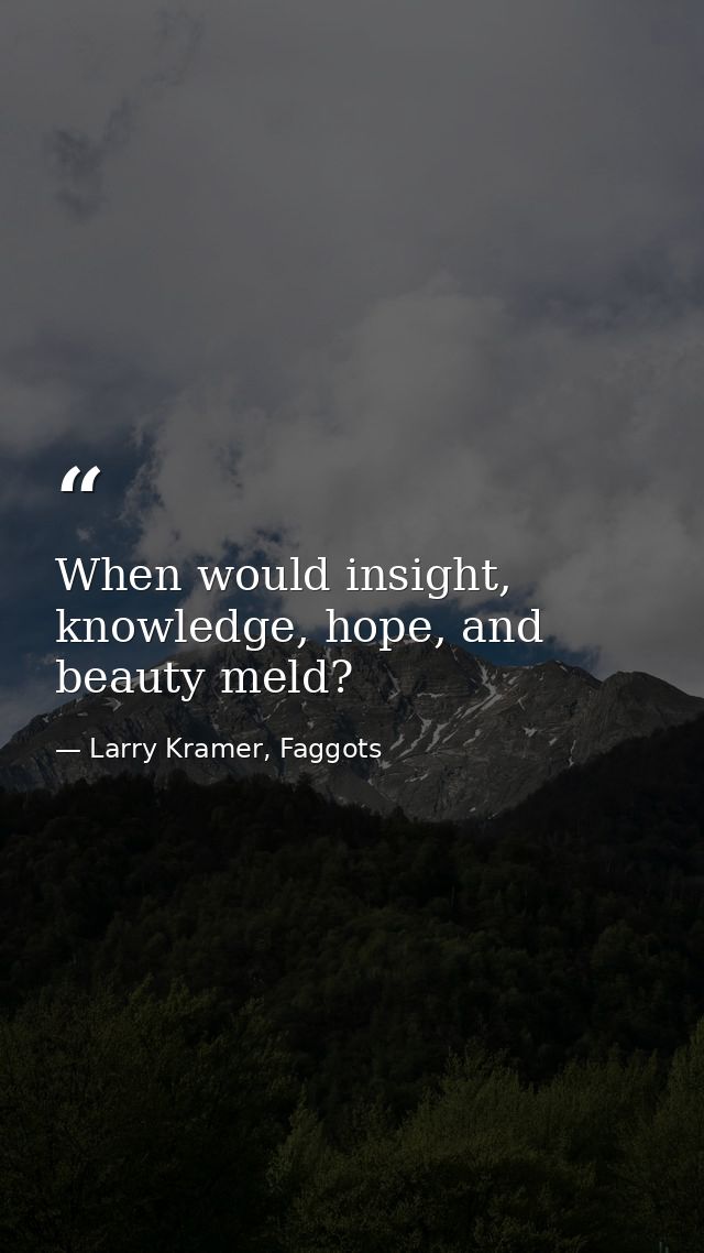 When would insight, knowledge, hope, and beauty meld? — Larry Kramer, Faggots