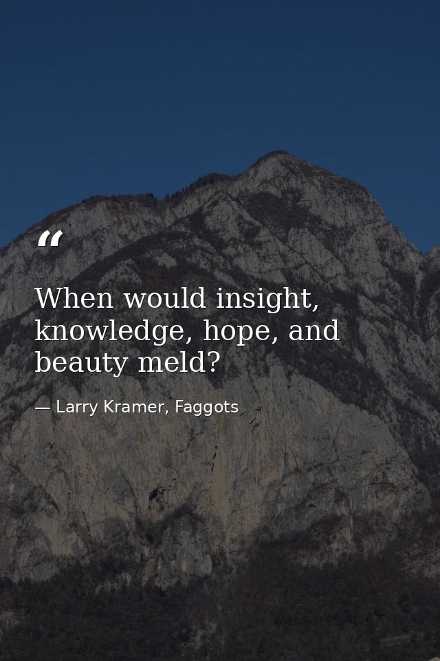 When would insight, knowledge, hope, and beauty meld? — Larry Kramer, Faggots