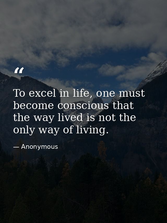 To excel in life, one must become conscious that the way lived is not the only way of living. — Anonymous