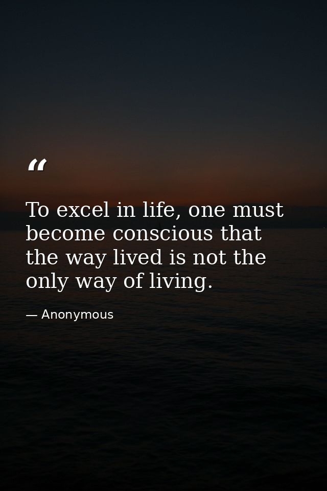 To excel in life, one must become conscious that the way lived is not the only way of living. — Anonymous