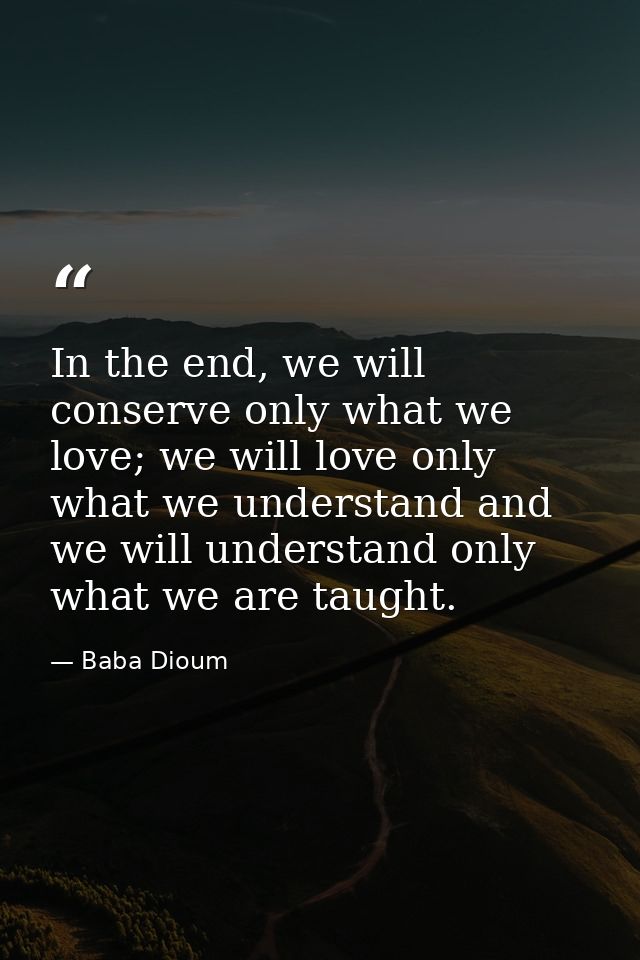 In the end, we will conserve only what we love; we will love only what we understand and we will understand only what we — Baba Dioum