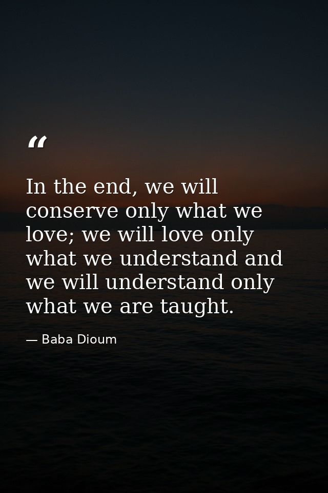 In the end, we will conserve only what we love; we will love only what we understand and we will understand only what we — Baba Dioum