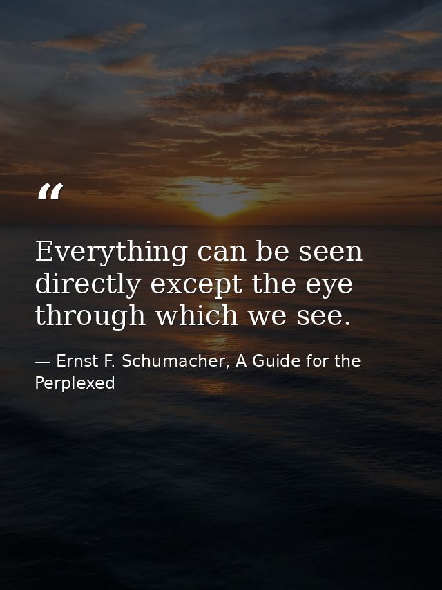 Everything can be seen directly except the eye through which we see. — Ernst F. Schumacher, A Guide for the Perplexed