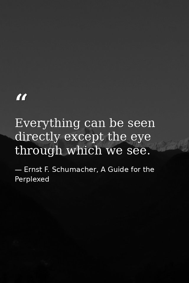Everything can be seen directly except the eye through which we see. — Ernst F. Schumacher, A Guide for the Perplexed