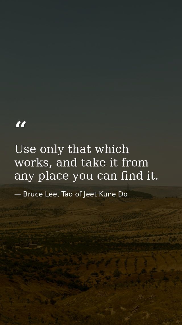Use only that which works, and take it from any place you can find it. — Bruce Lee, Tao of Jeet Kune Do