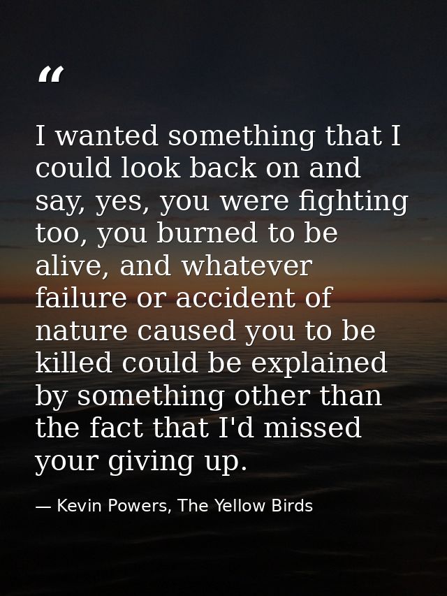 I wanted something that I could look back on and say, yes, you were fighting too, you burned to be alive, and whatever f — Kevin Powers, The Yellow Birds