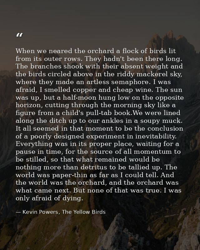 When we neared the orchard a flock of birds lit from its outer rows. They hadn't been there long. The branches shook wit — Kevin Powers, The Yellow Birds