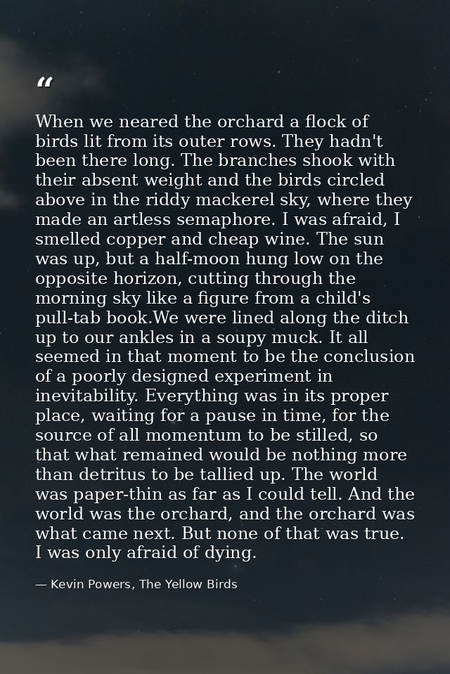 When we neared the orchard a flock of birds lit from its outer rows. They hadn't been there long. The branches shook wit — Kevin Powers, The Yellow Birds