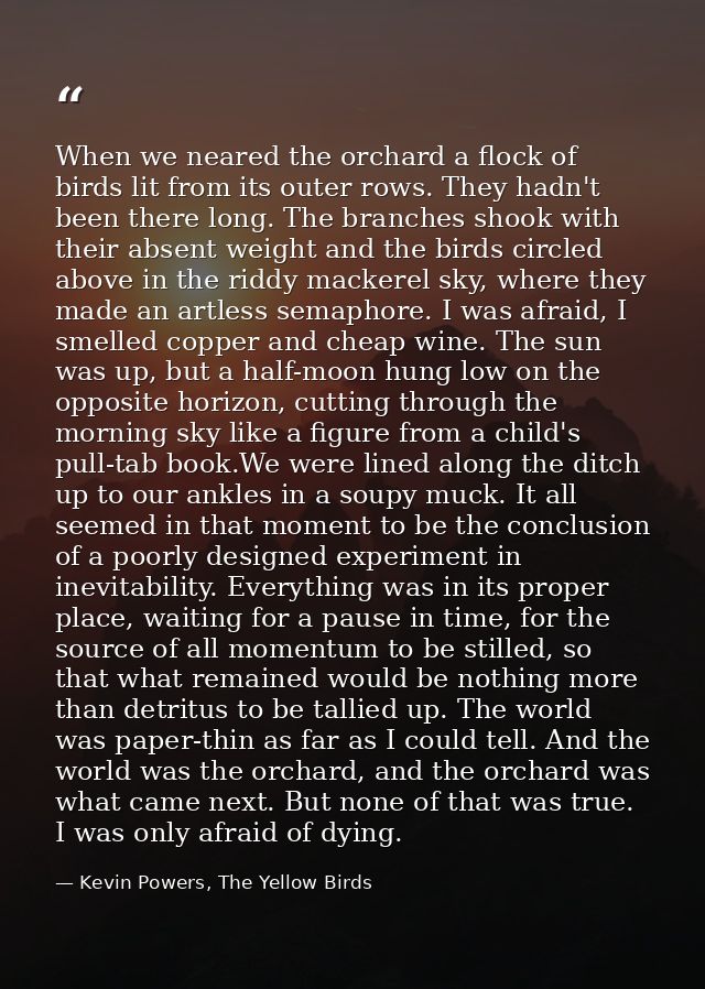 When we neared the orchard a flock of birds lit from its outer rows. They hadn't been there long. The branches shook wit — Kevin Powers, The Yellow Birds