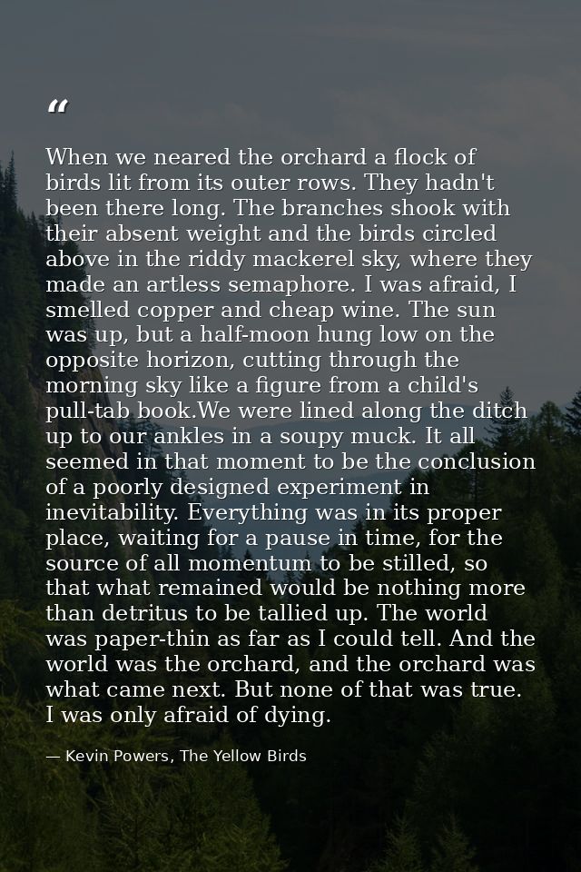 When we neared the orchard a flock of birds lit from its outer rows. They hadn't been there long. The branches shook wit — Kevin Powers, The Yellow Birds