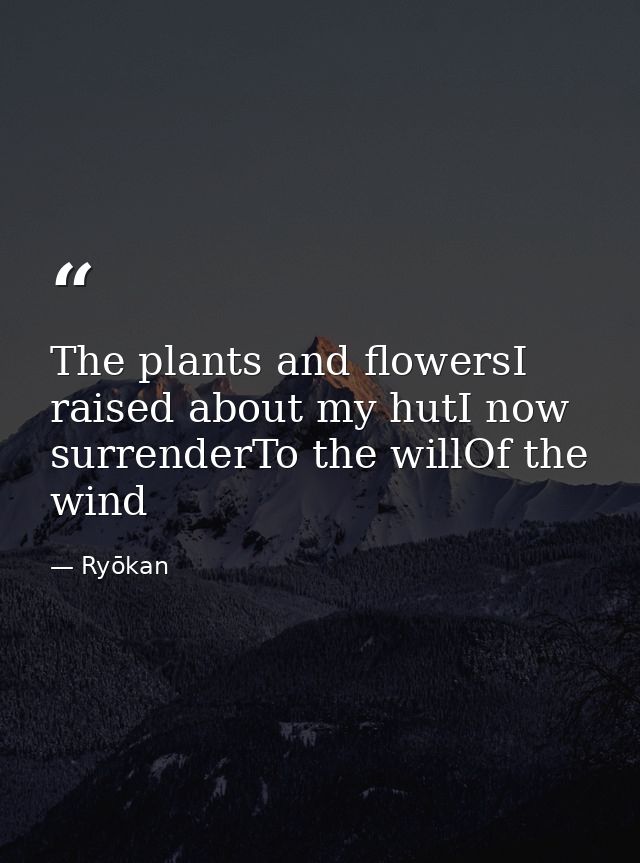 The plants and flowersI raised about my hutI now surrenderTo the willOf the wind — Ryōkan