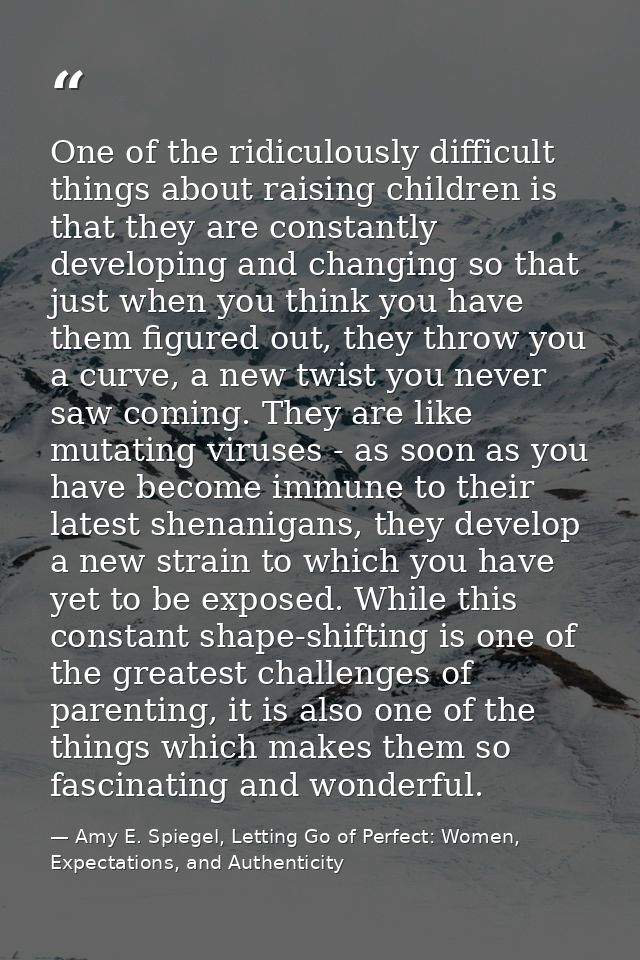 One of the ridiculously difficult things about raising children is that they are constantly developing and changing so t — Amy E. Spiegel, Letting Go of Perfect: Women, Expectations, and Authenticity