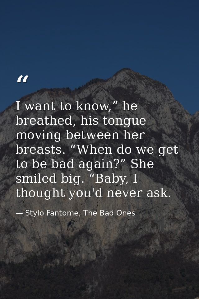 I want to know,” he breathed, his tongue moving between her breasts. “When do we get to be bad again?” She smiled big. “ — Stylo Fantome, The Bad Ones