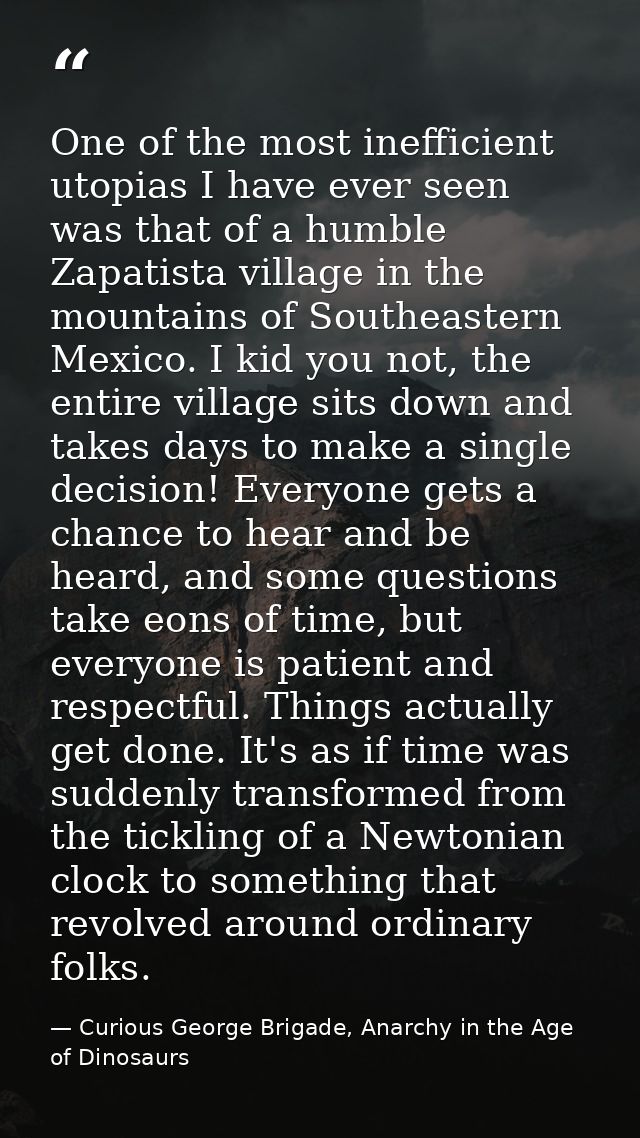 One of the most inefficient utopias I have ever seen was that of a humble Zapatista village in the mountains of Southeas — Curious George Brigade, Anarchy in the Age of Dinosaurs