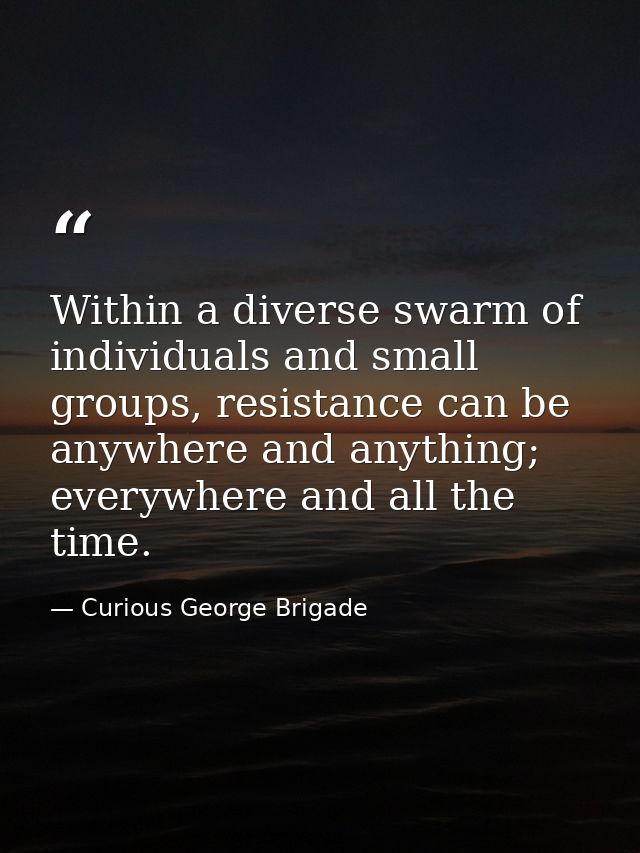 Within a diverse swarm of individuals and small groups, resistance can be anywhere and anything; everywhere and all the  — Curious George Brigade