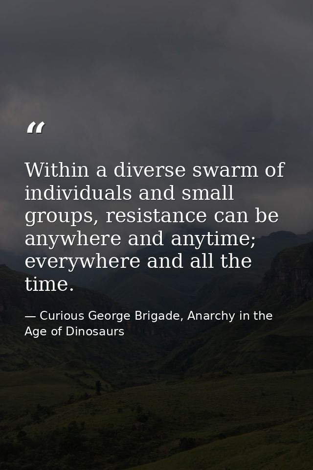 Within a diverse swarm of individuals and small groups, resistance can be anywhere and anytime; everywhere and all the t — Curious George Brigade, Anarchy in the Age of Dinosaurs