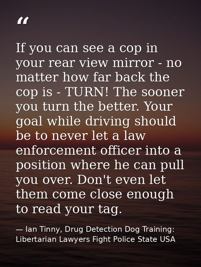 If you can see a cop in your rear view mirror - no matter how far back the cop is - TURN! The sooner you turn the better — Ian Tinny, Drug Detection Dog Training: Libertarian Lawyers Fight Police State USA