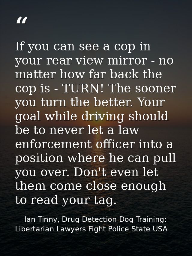 If you can see a cop in your rear view mirror - no matter how far back the cop is - TURN! The sooner you turn the better — Ian Tinny, Drug Detection Dog Training: Libertarian Lawyers Fight Police State USA