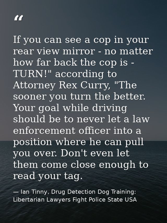 If you can see a cop in your rear view mirror - no matter how far back the cop is - TURN!" according to Attorney Rex Cur — Ian Tinny, Drug Detection Dog Training: Libertarian Lawyers Fight Police State USA