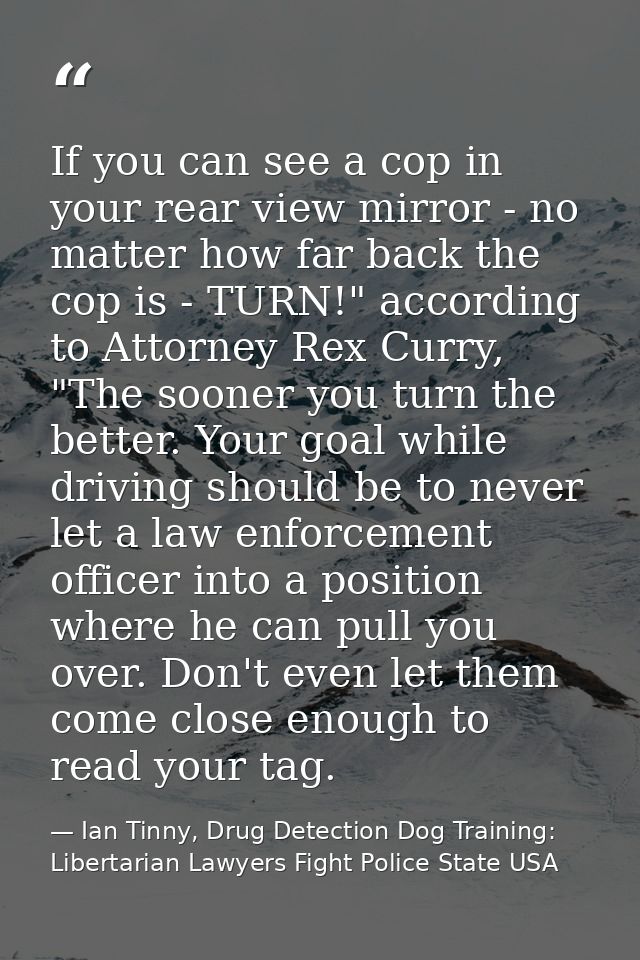 If you can see a cop in your rear view mirror - no matter how far back the cop is - TURN!" according to Attorney Rex Cur — Ian Tinny, Drug Detection Dog Training: Libertarian Lawyers Fight Police State USA