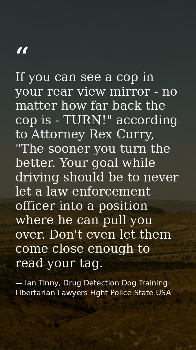 If you can see a cop in your rear view mirror - no matter how far back the cop is - TURN!" according to Attorney Rex Cur — Ian Tinny, Drug Detection Dog Training: Libertarian Lawyers Fight Police State USA