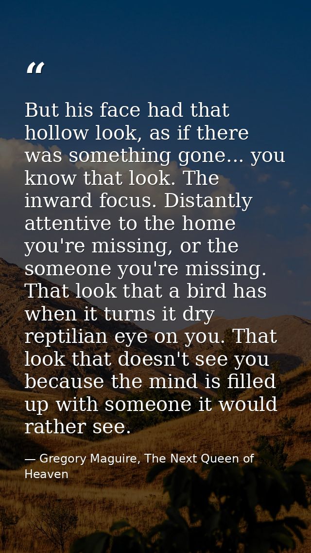 But his face had that hollow look, as if there was something gone... you know that look. The inward focus. Distantly att — Gregory Maguire, The Next Queen of Heaven
