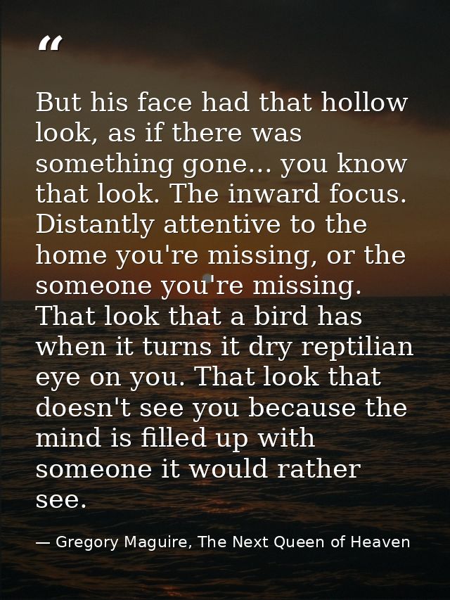 But his face had that hollow look, as if there was something gone... you know that look. The inward focus. Distantly att — Gregory Maguire, The Next Queen of Heaven