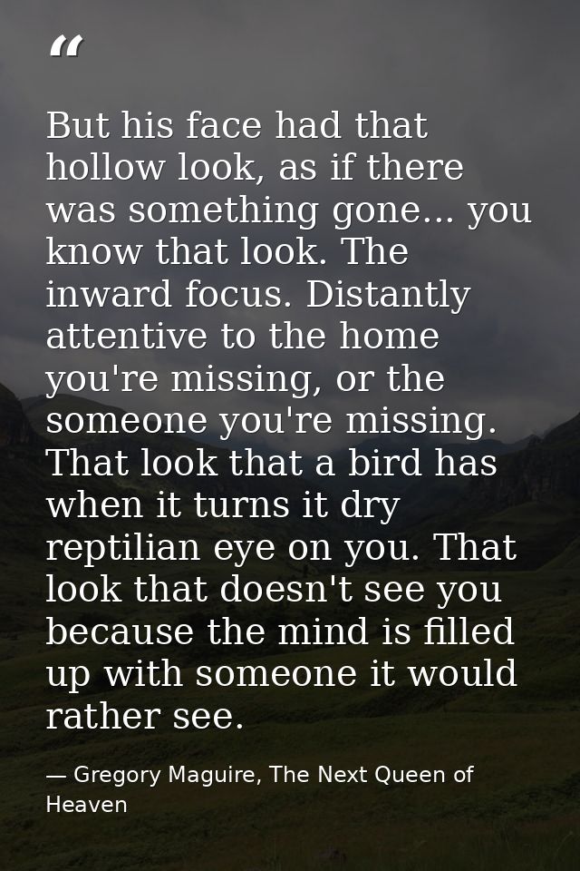 But his face had that hollow look, as if there was something gone... you know that look. The inward focus. Distantly att — Gregory Maguire, The Next Queen of Heaven