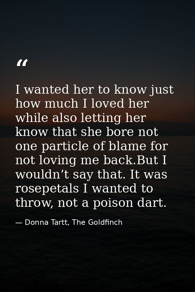 I wanted her to know just how much I loved her while also letting her know that she bore not one particle of blame for n — Donna Tartt, The Goldfinch