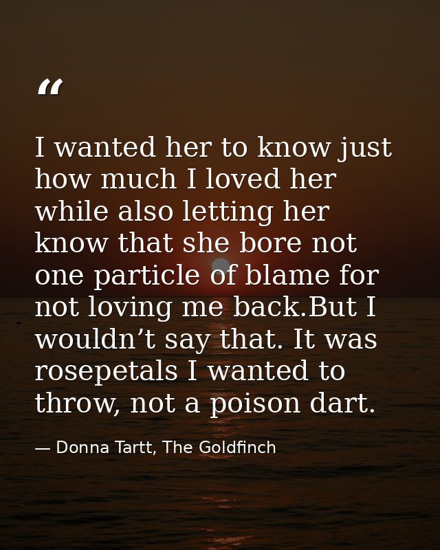 I wanted her to know just how much I loved her while also letting her know that she bore not one particle of blame for n — Donna Tartt, The Goldfinch