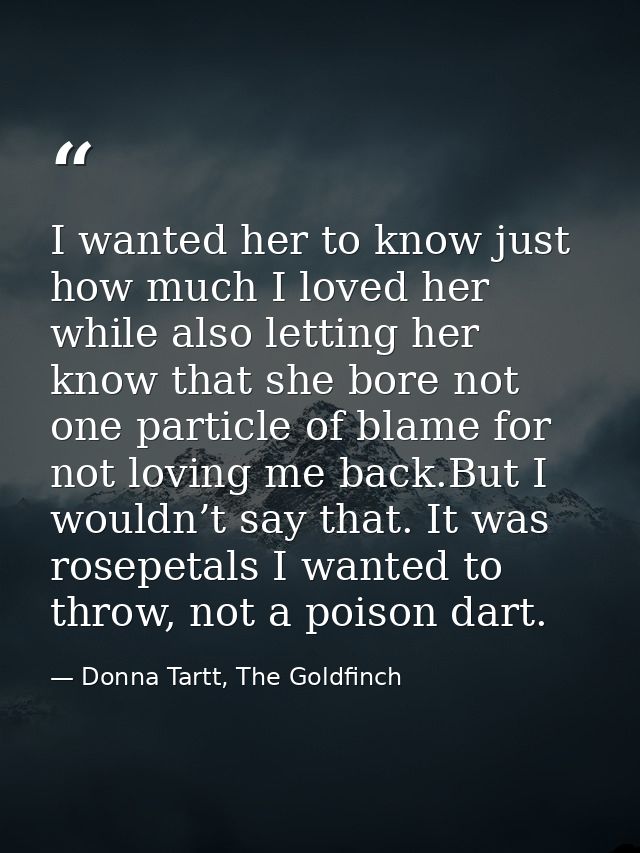 I wanted her to know just how much I loved her while also letting her know that she bore not one particle of blame for n — Donna Tartt, The Goldfinch