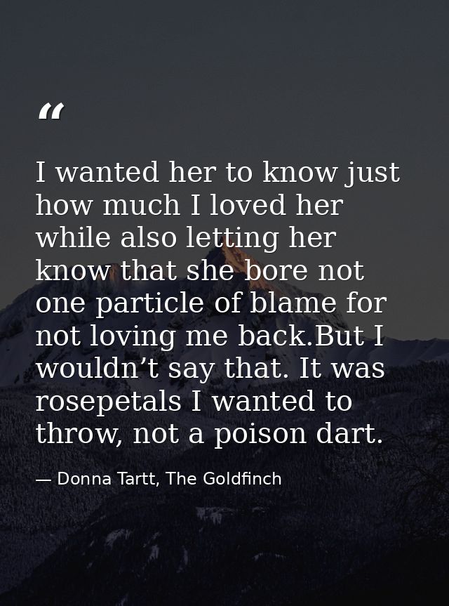 I wanted her to know just how much I loved her while also letting her know that she bore not one particle of blame for n — Donna Tartt, The Goldfinch