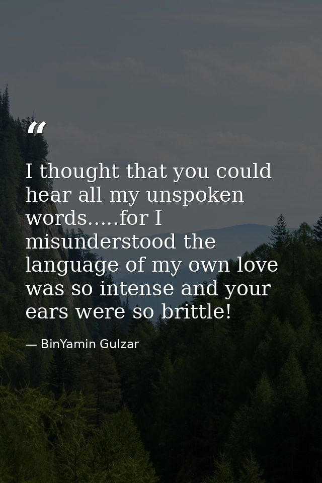 I thought that you could hear all my unspoken words.....for I misunderstood the language of my own love was so intense a — BinYamin Gulzar