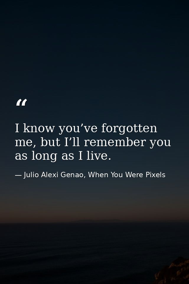 I know you’ve forgotten me, but I’ll remember you as long as I live. — Julio Alexi Genao, When You Were Pixels