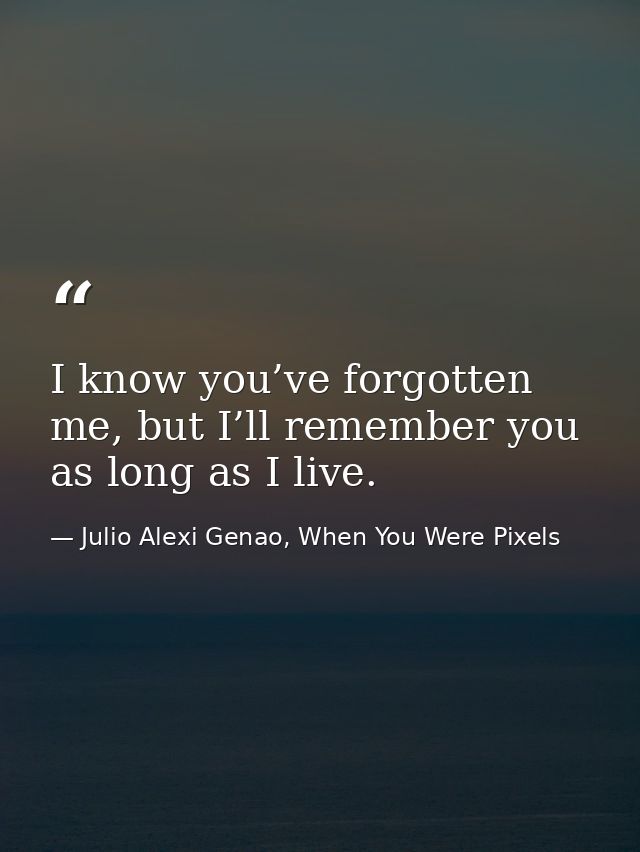I know you’ve forgotten me, but I’ll remember you as long as I live. — Julio Alexi Genao, When You Were Pixels