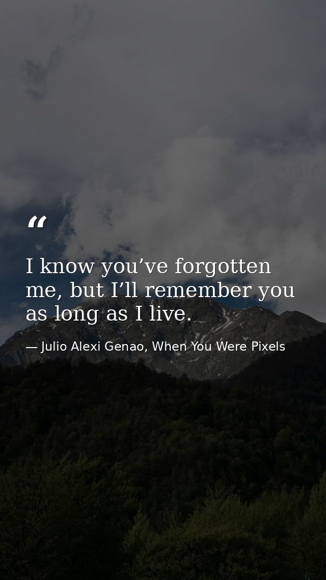 I know you’ve forgotten me, but I’ll remember you as long as I live. — Julio Alexi Genao, When You Were Pixels