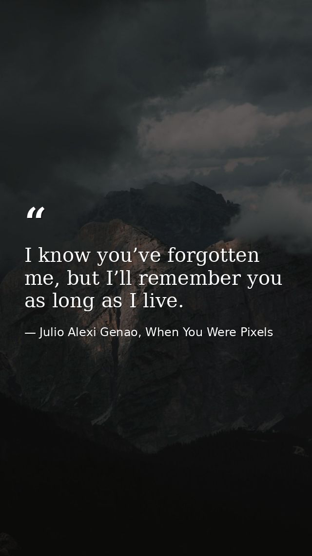 I know you’ve forgotten me, but I’ll remember you as long as I live. — Julio Alexi Genao, When You Were Pixels