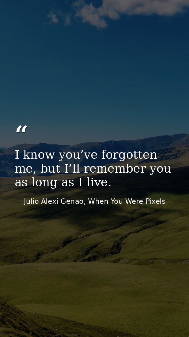 I know you’ve forgotten me, but I’ll remember you as long as I live. — Julio Alexi Genao, When You Were Pixels